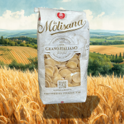 italian pasta